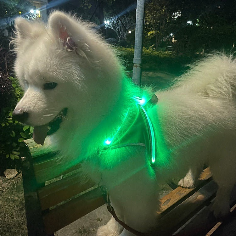 LED Pet Light-Emitting Sling Detachable Dog Reflective Sling Anti-Breakaway Sling USB Charging Models