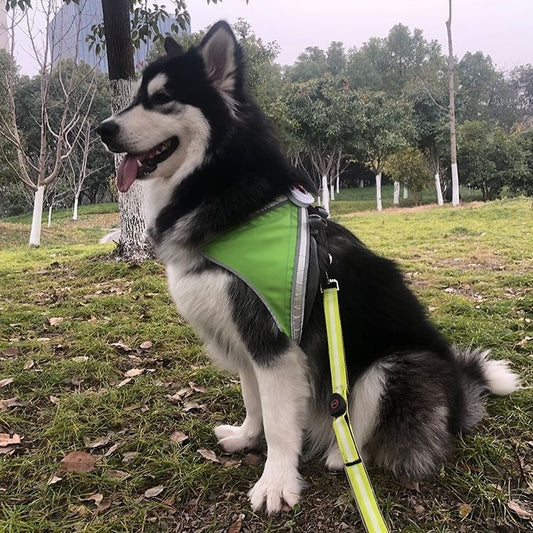 LED Pet Light-Emitting Sling Detachable Dog Reflective Sling Anti-Breakaway Sling USB Charging Models