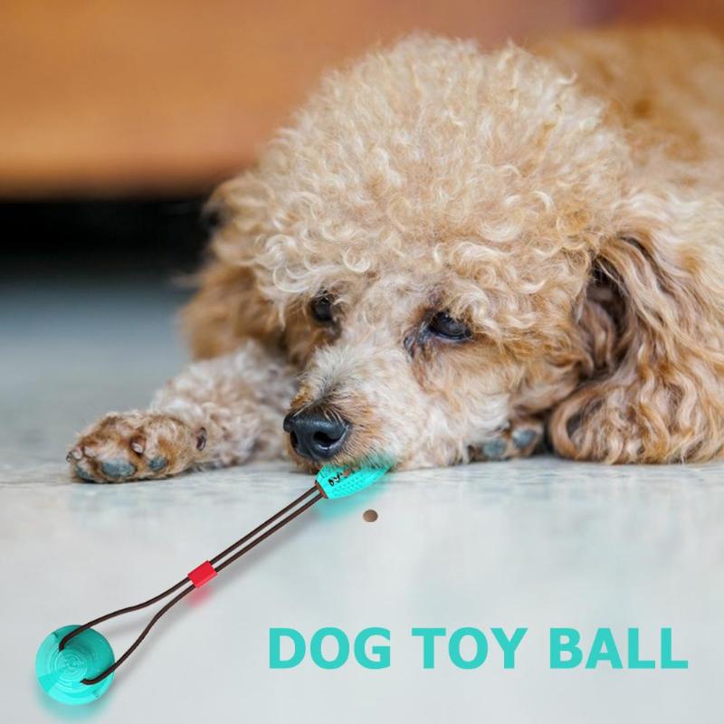 Multi-function Dog Pet Molar Ball Teeth Grinder Rubber Suction Cup Chew Biting Toy Pet Grinding Teeth Product Pet Training