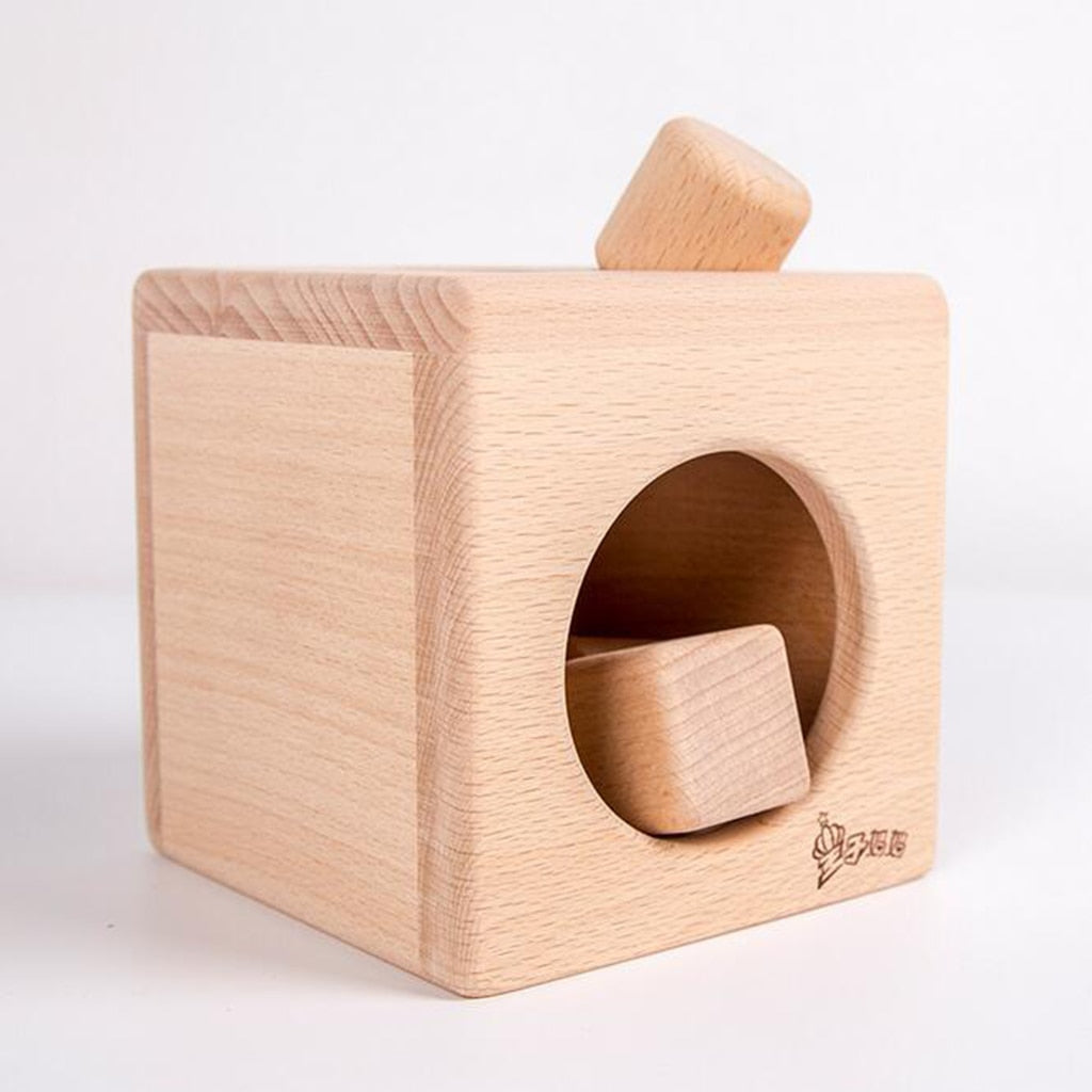 Kids Wooden Shape Sorter Cube Montessori