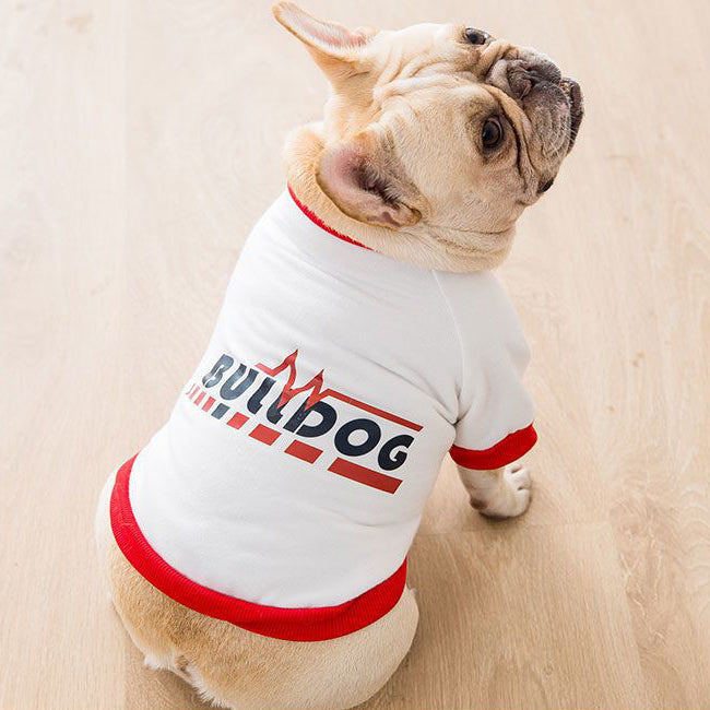 Creative Printed Shirts For Small and Medium Size Dog