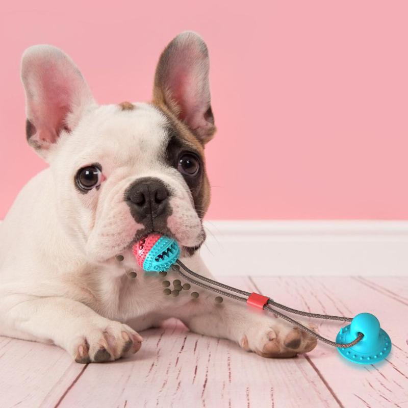 Multi-function Dog Pet Molar Ball Teeth Grinder Rubber Suction Cup Chew Biting Toy Pet Grinding Teeth Product Pet Training