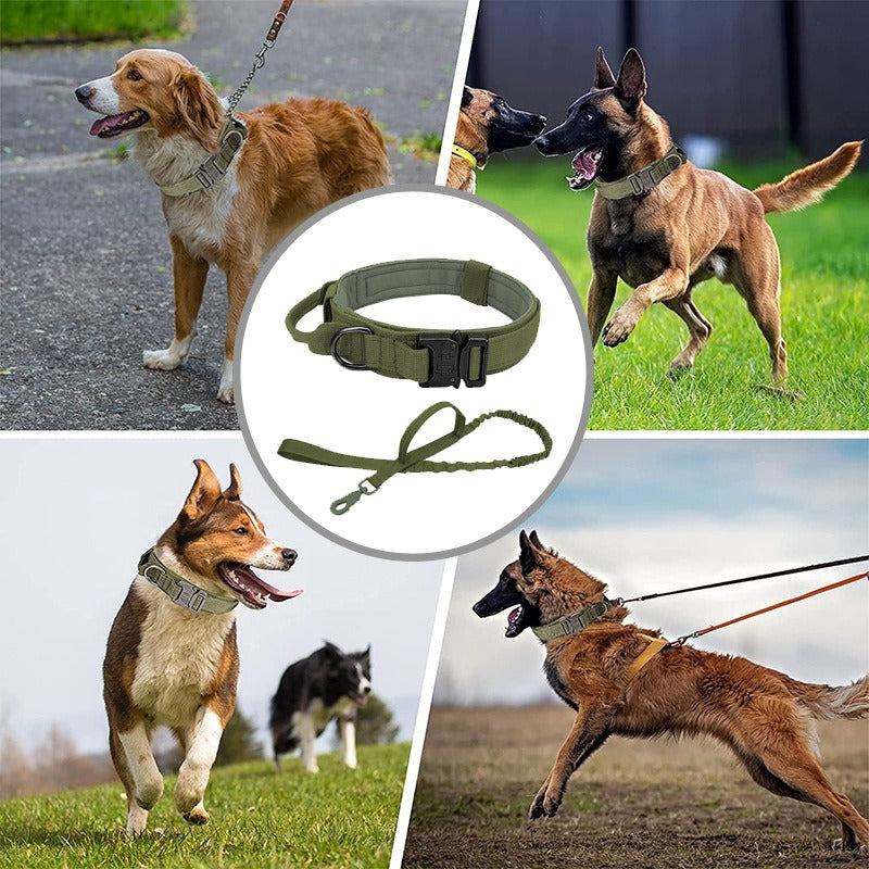 Tactical Style Dog Collar and Leash