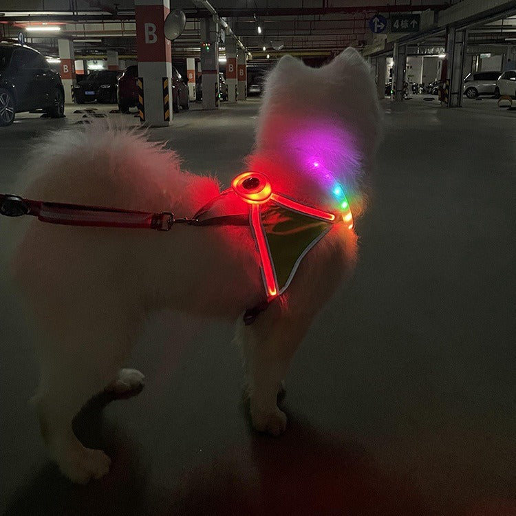 LED Pet Light-Emitting Sling Detachable Dog Reflective Sling Anti-Breakaway Sling USB Charging Models