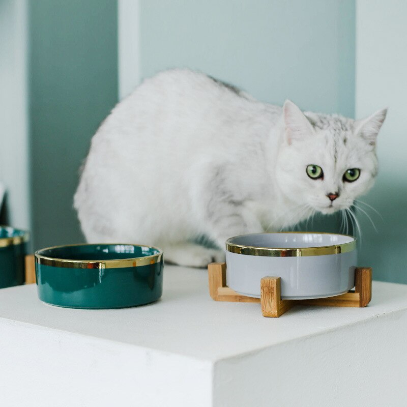 Ceramic Tableware Bowls with Bamboo Frame for Dogs or Cats