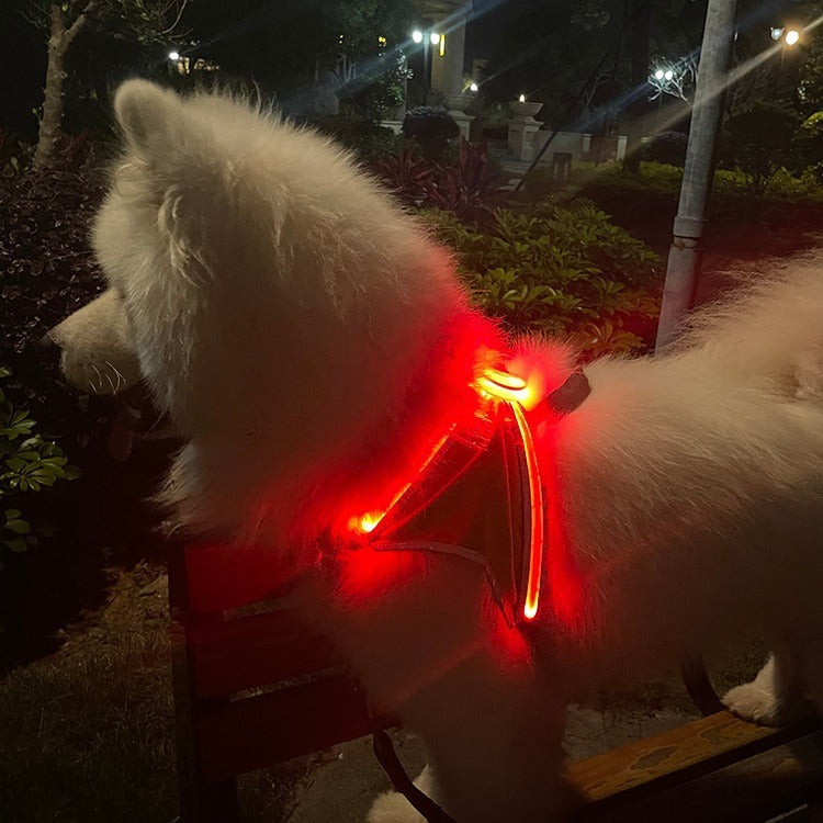 LED Pet Light-Emitting Sling Detachable Dog Reflective Sling Anti-Breakaway Sling USB Charging Models